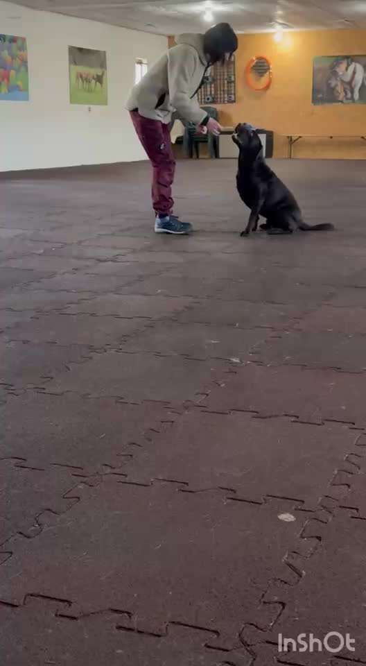 aktuelles Foto Gruppe Trickkiste