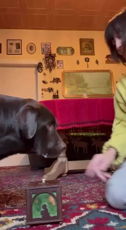 Trickchallenge Nr. 84

"Etwas öffnen "-Beitrag-Bild