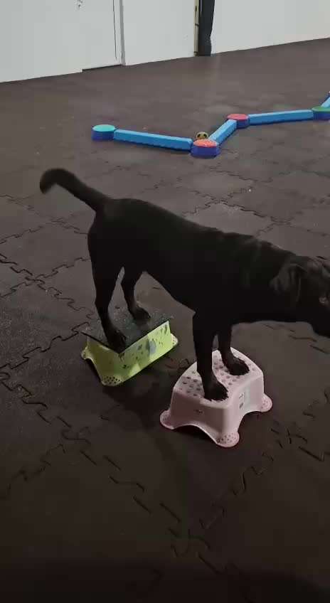 aktuelles Foto Gruppe Trickkiste