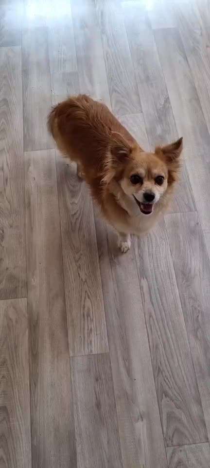 Luna 13 wochen erkennt keine Grenzen in spieltrieb-Beitrag-Bild