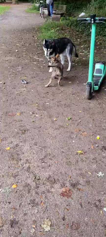 Luna 13 wochen erkennt keine Grenzen in spieltrieb-Beitrag-Bild