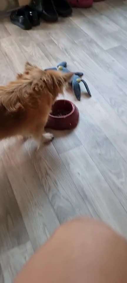 Luna 13 wochen erkennt keine Grenzen in spieltrieb-Beitrag-Bild