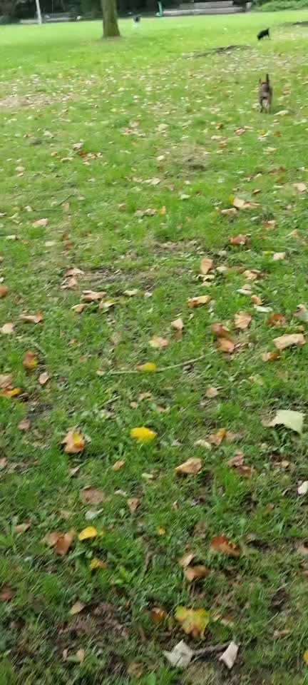 Luna 13 wochen erkennt keine Grenzen in spieltrieb-Beitrag-Bild