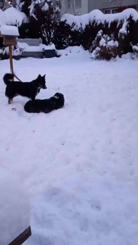 aktuelles Foto Gruppe Körpersprache lesen & verstehen