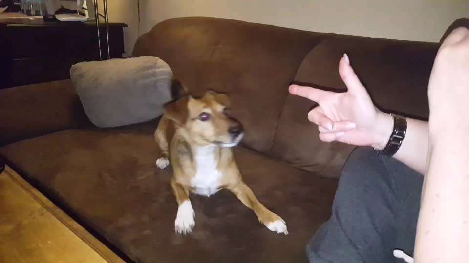 𝕋ℝ𝕀ℂ𝕂 ℂℍ𝔸𝕃𝕃𝔼ℕ𝔾𝔼 ℕℝ. 𝟙-Beitrag-Bild