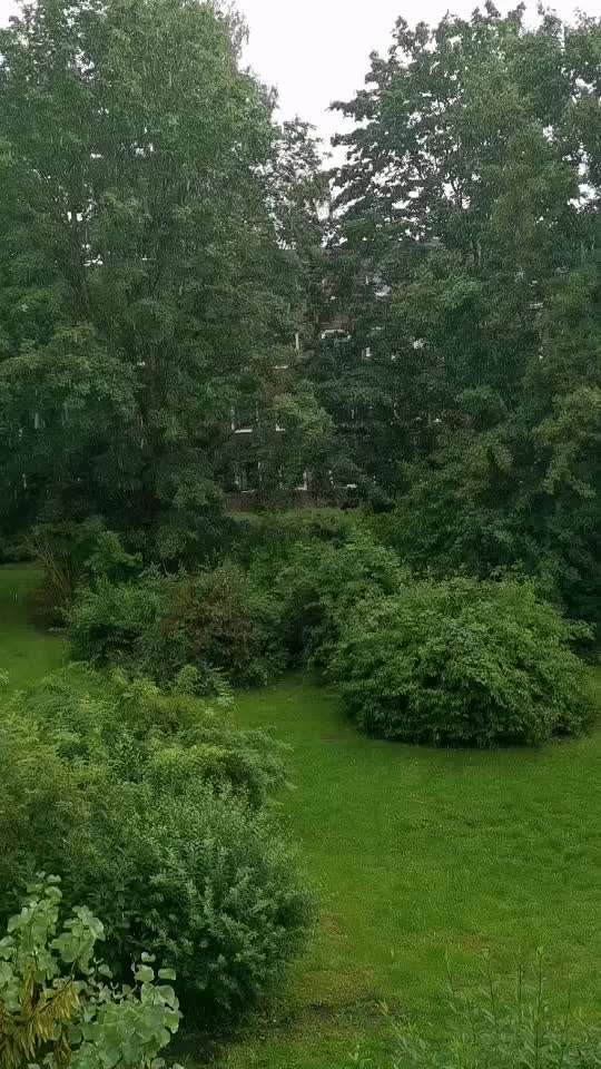 Der Pfützenplatsch und der Ich-mach-mir-die-Pfoten-nicht-nass-Beitrag-Bild