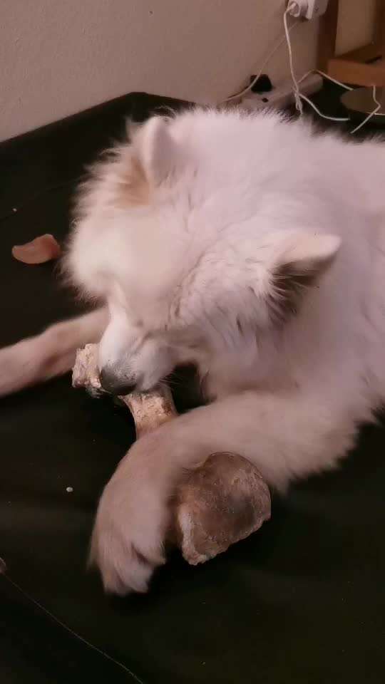 Das Gefühl das es nicht passt...-Beitrag-Bild