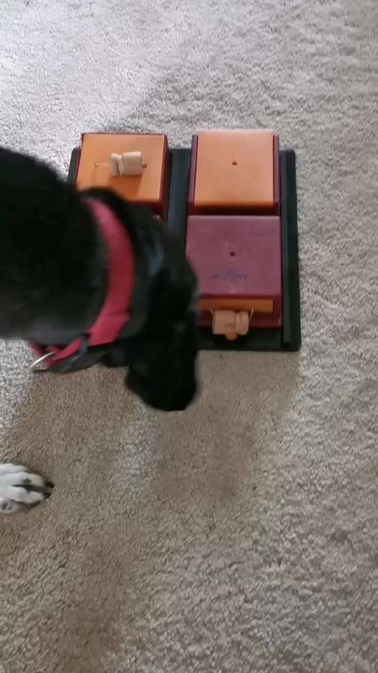 Brauche Ideen zur Űbungsgestaltung-Beitrag-Bild