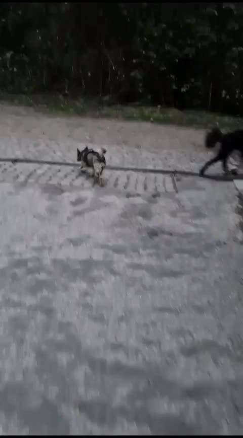 Was hat euch heute gefreut?-Beitrag-Bild