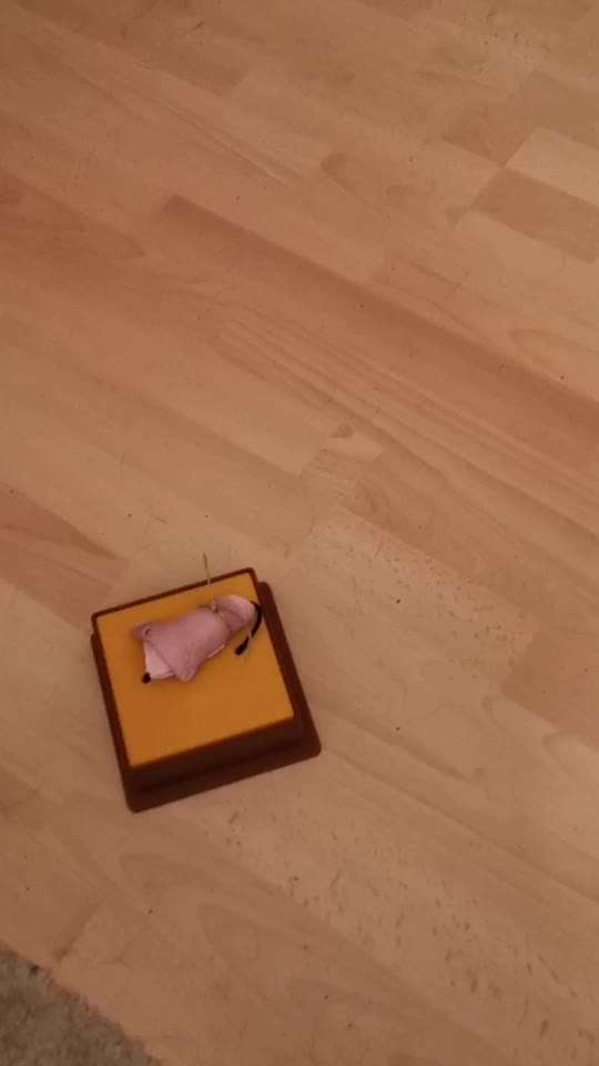 Brauche Ideen zur Űbungsgestaltung-Beitrag-Bild