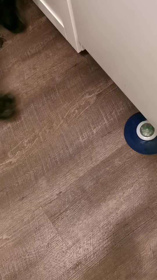 Beschäftigungsmöglichkeiten "mit Anstupsen" gesucht..-Beitrag-Bild