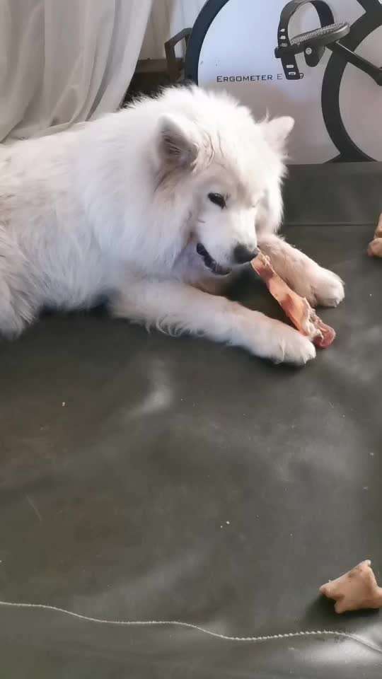 Das Gefühl das es nicht passt...-Beitrag-Bild