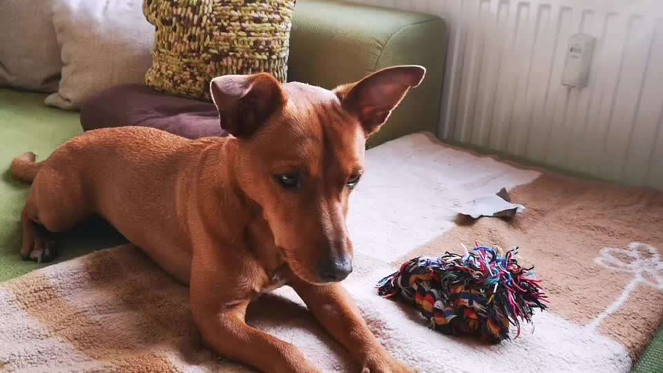 TRICK CHALLENGE NR. 10-Beitrag-Bild