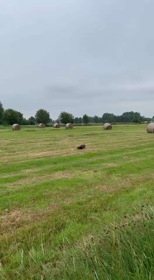 Video Challenge Nr. 4 - Lecker, Lecker-Beitrag-Bild