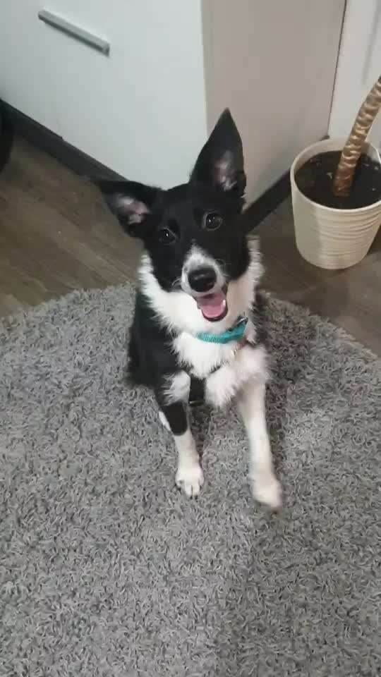 Trick Challange Nr 3-Beitrag-Bild