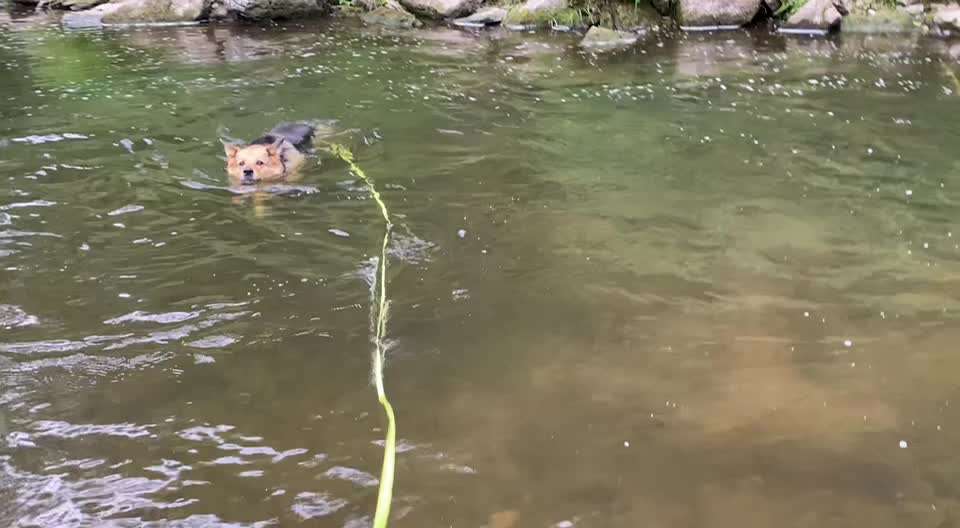 !!!VIDEOCHALLENGE!!!-Beitrag-Bild