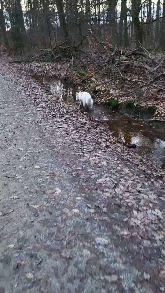 Freddys Kummerkasten-Beitrag-Bild