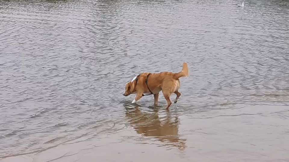 50. Video Challenge - Wasserscheu oder nicht-Beitrag-Bild