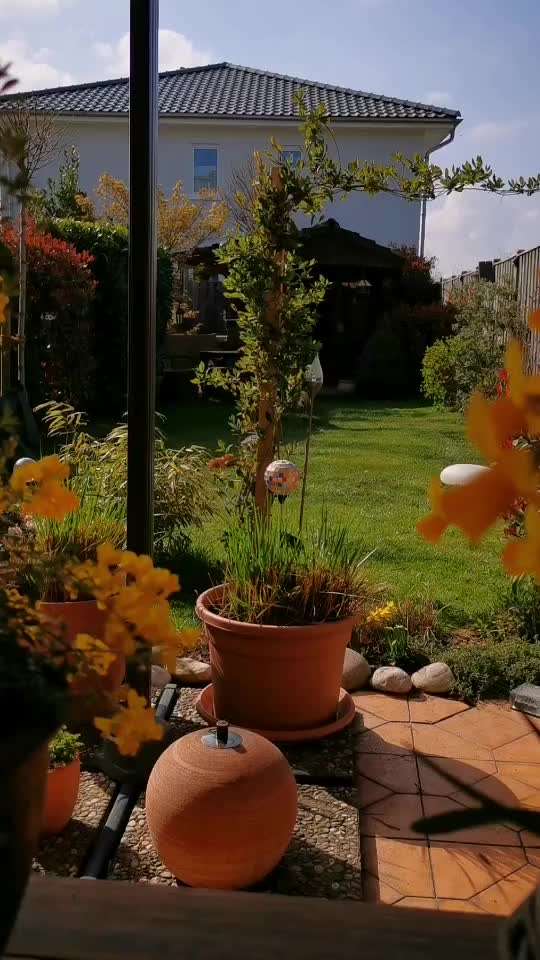 Video-Challange Nr. 9
Der unsinnige Hund-Beitrag-Bild