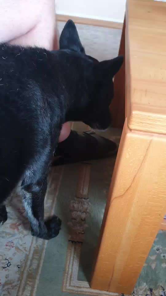 Was hilft beim röcheln und würgen-Beitrag-Bild