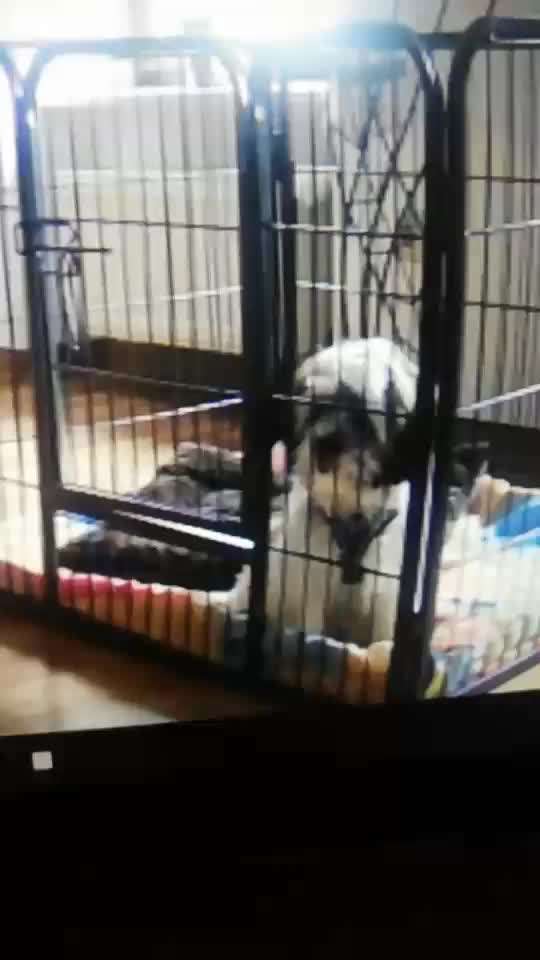 Hochspringen-Beitrag-Bild