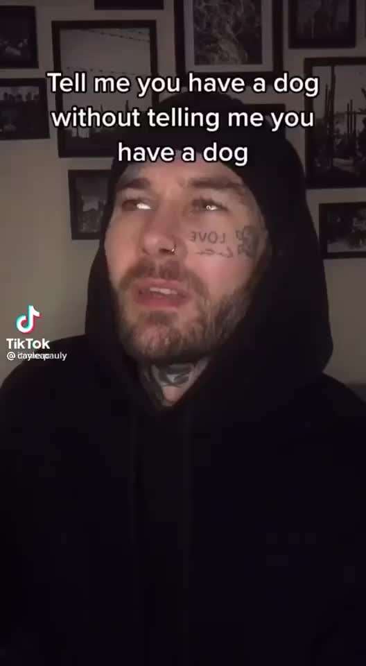 Hier ist der Spaßthread. Zum Schmunzeln und Kaputtlachen-Beitrag-Bild