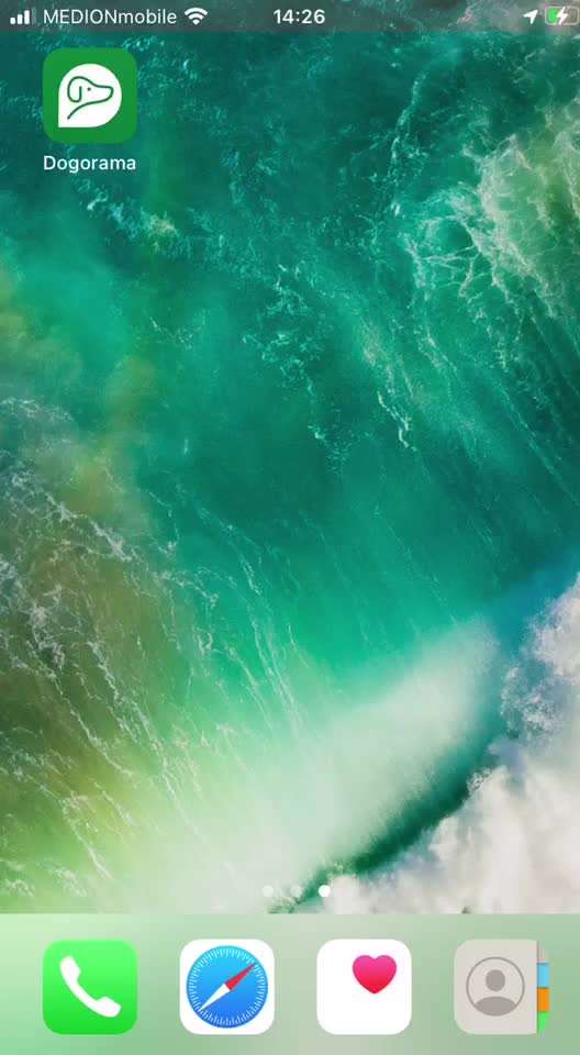 Suchfunktion bei Dogorama-Beitrag-Bild