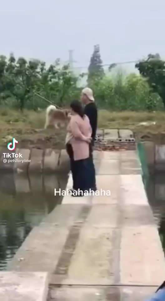 Hier ist der Spaßthread. Zum Schmunzeln und Kaputtlachen-Beitrag-Bild