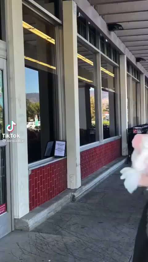 Hier ist der Spaßthread. Zum Schmunzeln und Kaputtlachen-Beitrag-Bild