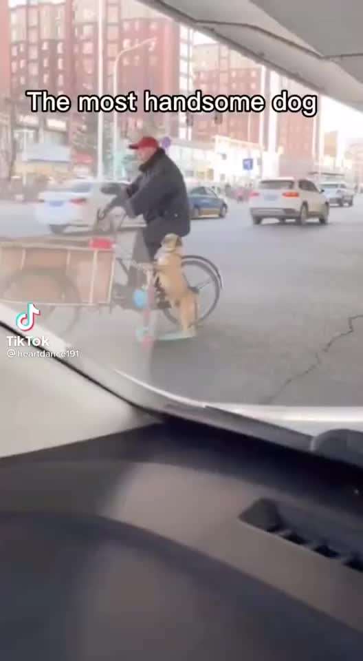 Hier ist der Spaßthread. Zum Schmunzeln und Kaputtlachen-Beitrag-Bild