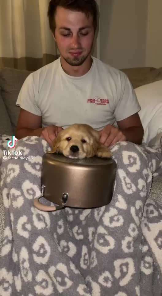 Hier ist der Spaßthread. Zum Schmunzeln und Kaputtlachen-Beitrag-Bild