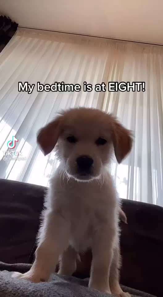 Hier ist der Spaßthread. Zum Schmunzeln und Kaputtlachen-Beitrag-Bild