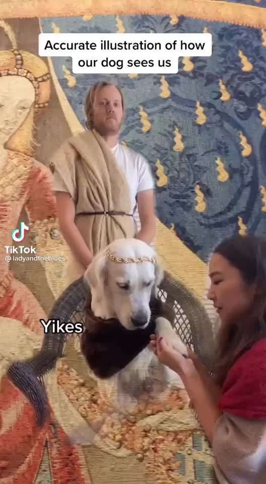 Hier ist der Spaßthread. Zum Schmunzeln und Kaputtlachen-Beitrag-Bild