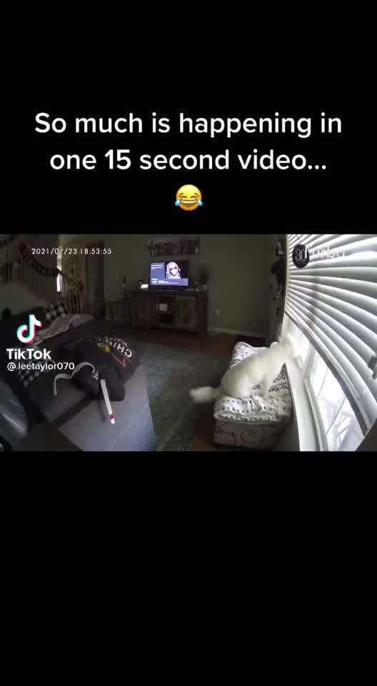 Hier ist der Spaßthread. Zum Schmunzeln und Kaputtlachen-Beitrag-Bild