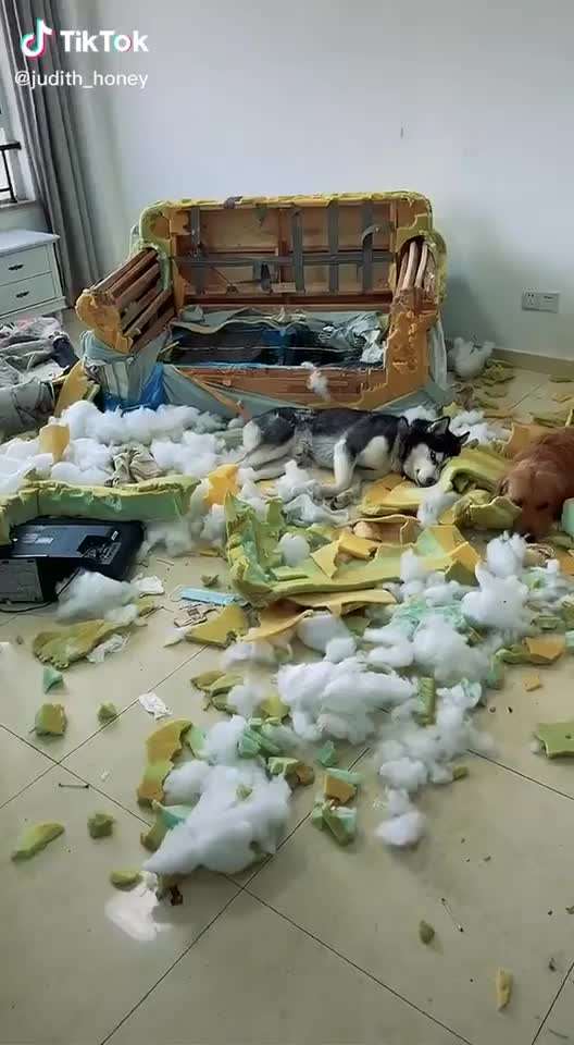 Hier ist der Spaßthread. Zum Schmunzeln und Kaputtlachen-Beitrag-Bild