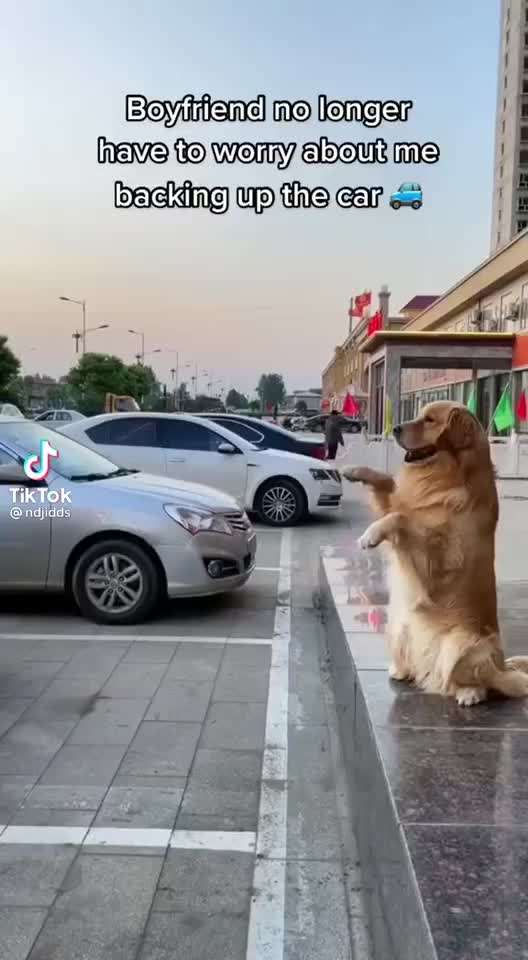 Hier ist der Spaßthread. Zum Schmunzeln und Kaputtlachen-Beitrag-Bild