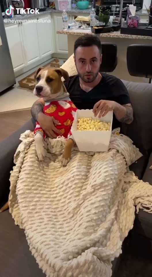 Hier ist der Spaßthread. Zum Schmunzeln und Kaputtlachen-Beitrag-Bild