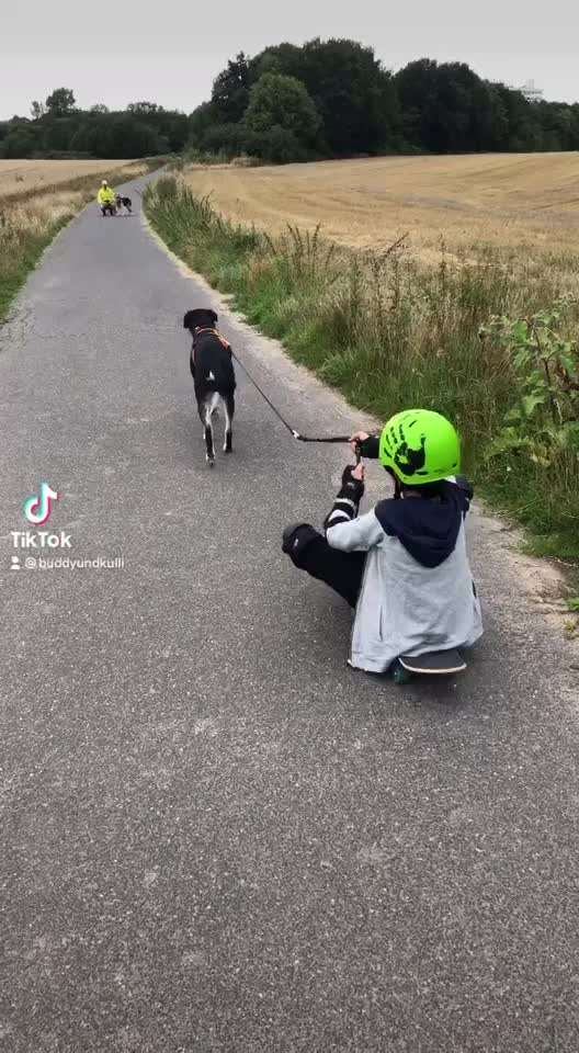 Hier ist der Spaßthread. Zum Schmunzeln und Kaputtlachen-Beitrag-Bild