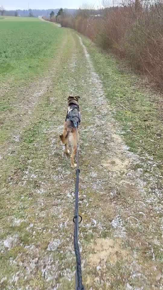 41. Handy Fotochallenge - Euer gemeinsames Hobby-Beitrag-Bild