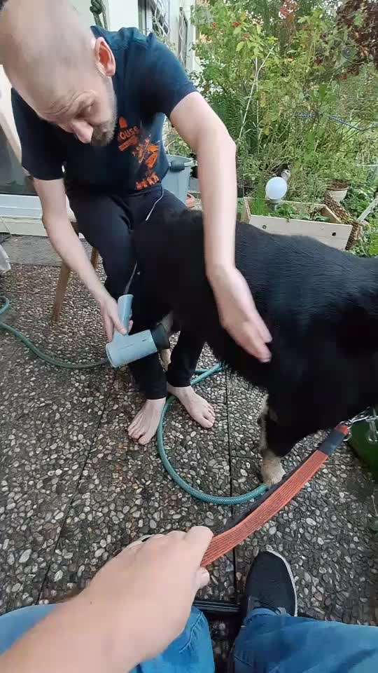 69. Handy-Fotochallenge: Soundtrack-Beitrag-Bild