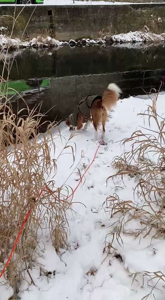 "Wege zur Freundschaft" (Ulli Reichmann)-Beitrag-Bild