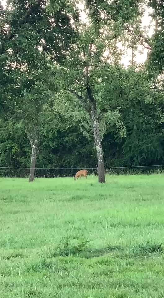 "Wege zur Freundschaft" (Ulli Reichmann)-Beitrag-Bild