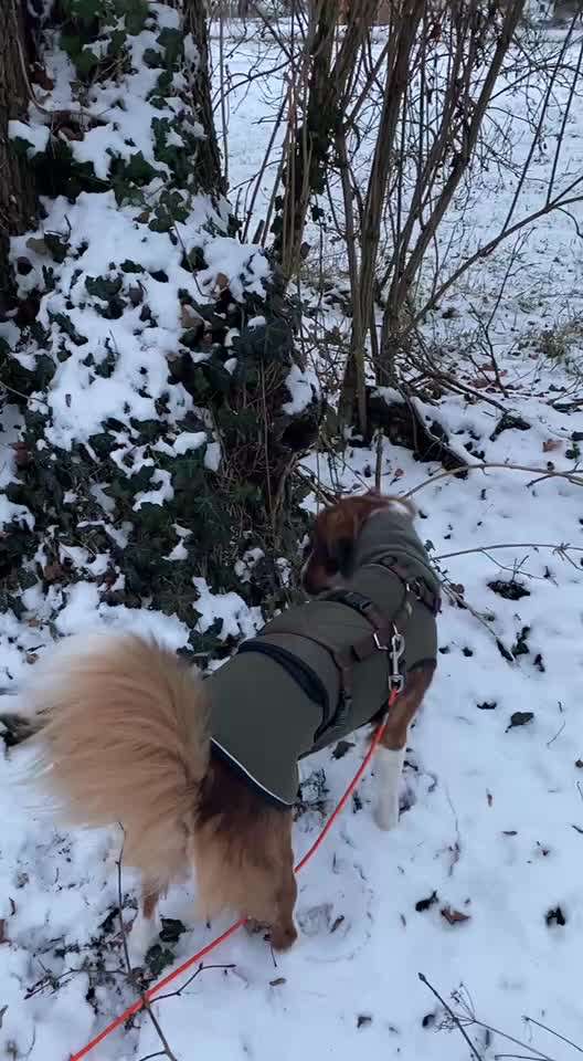 "Wege zur Freundschaft" (Ulli Reichmann)-Beitrag-Bild