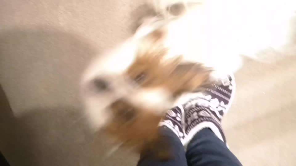 Koffer Packen: Spezial Weihnachtsedition-Beitrag-Bild