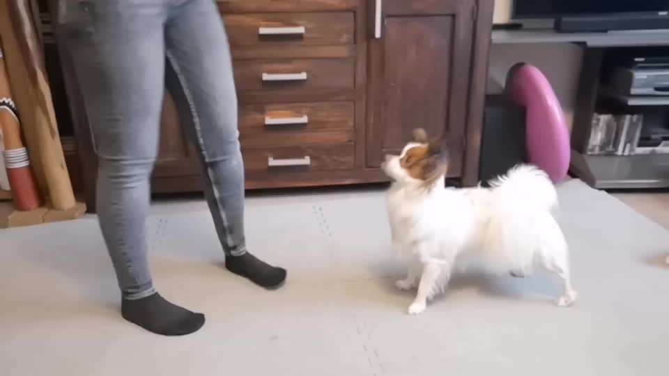 Trickchallenge - ich packe meinen 6. Koffer-Beitrag-Bild