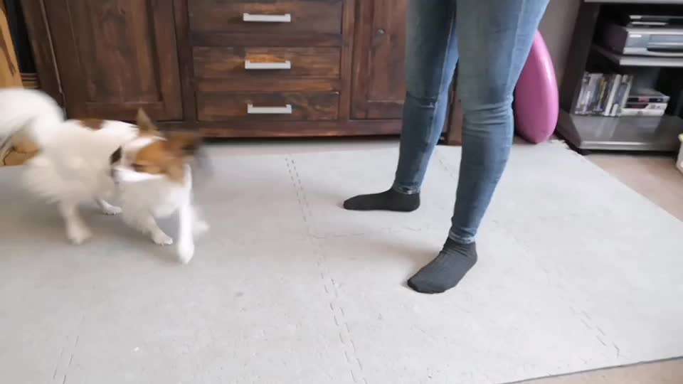 Trickchallenge - ich packe meinen 6. Koffer-Beitrag-Bild