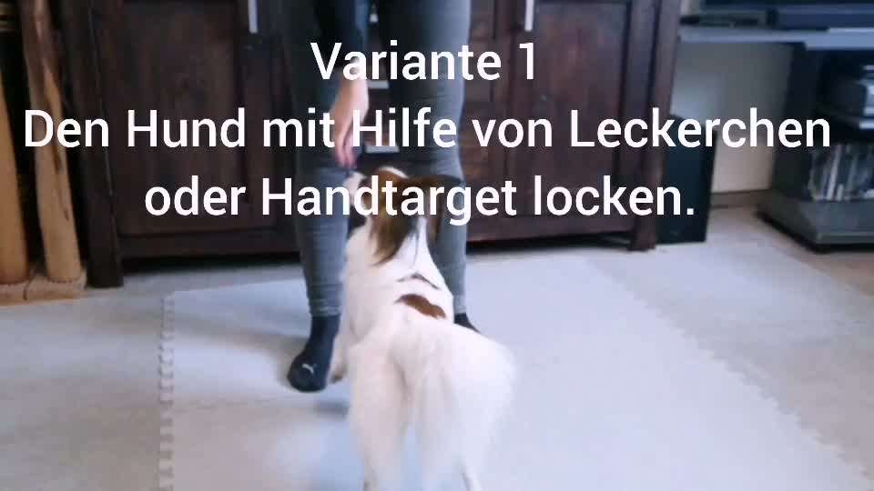 47. Rückwärts Einparken-Beitrag-Bild