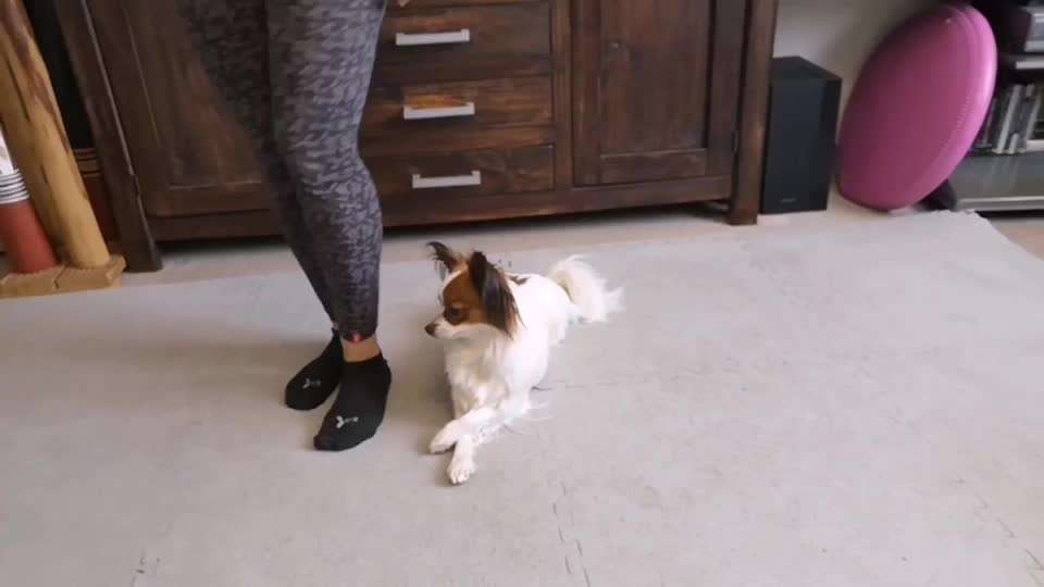 46. Tricktraining Rolle-Beitrag-Bild