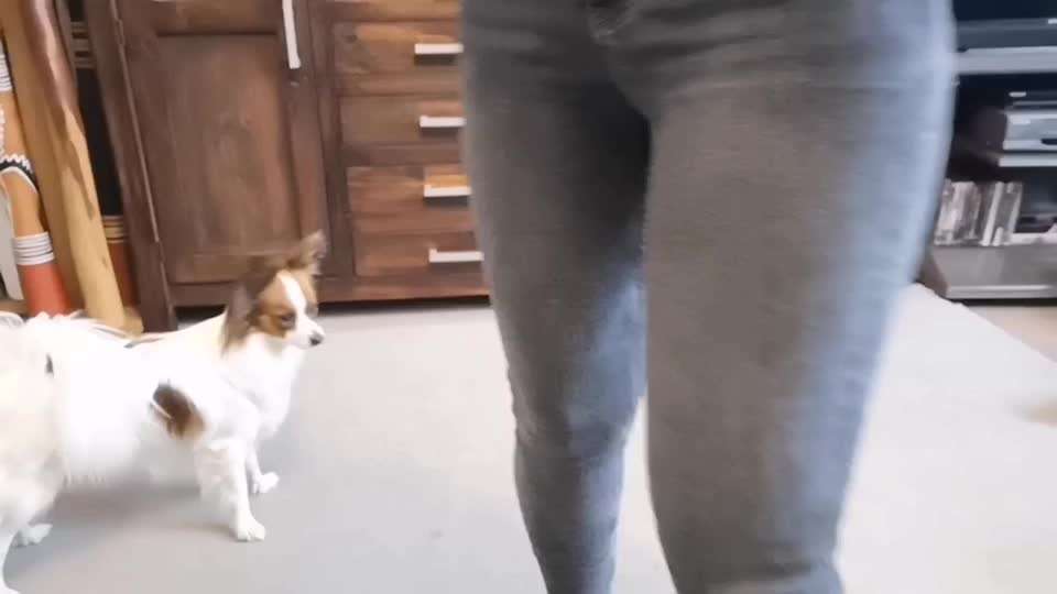 Trickchallenge - ich packe meinen 6. Koffer-Beitrag-Bild