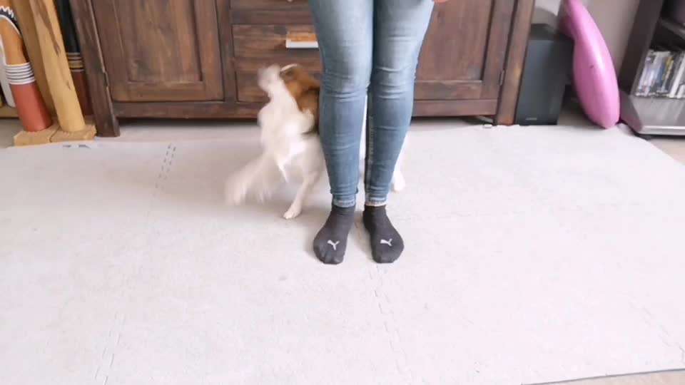 Veteranenzone - Koffer packen für fortgeschrittene-Beitrag-Bild